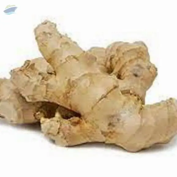 Ginger