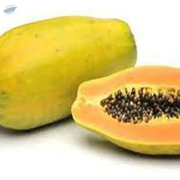 Papaya