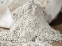 Diatomite Earth