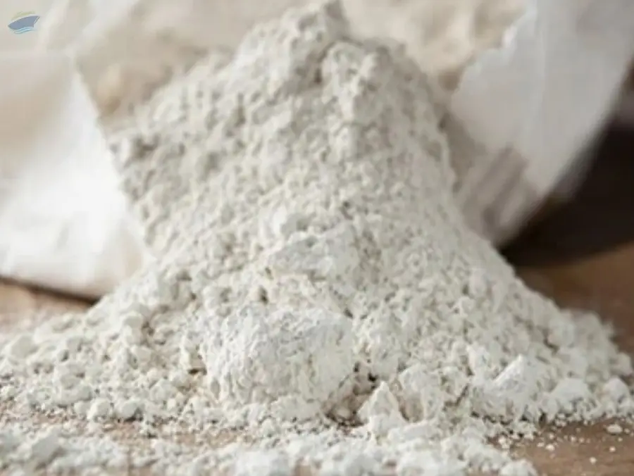 Diatomite Earth
