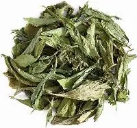 Dry Stevia Rebaudiana Leaves