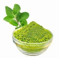 Tulsi Extract