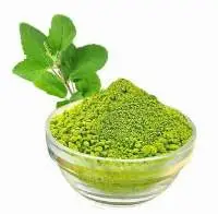 Tulsi Extract