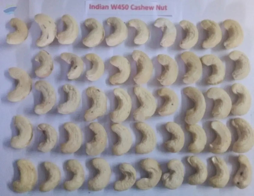 Cashew Nut W450