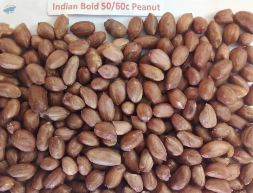 Peanut