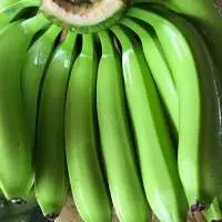 Cavendish Banana 