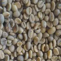 Java Robusta Natural Dried Grade 1 Non Gmo