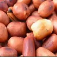 Peanuts Or Groundnuts