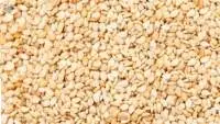 White Sesame Gadarif Sesame