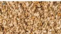 Red Sesame