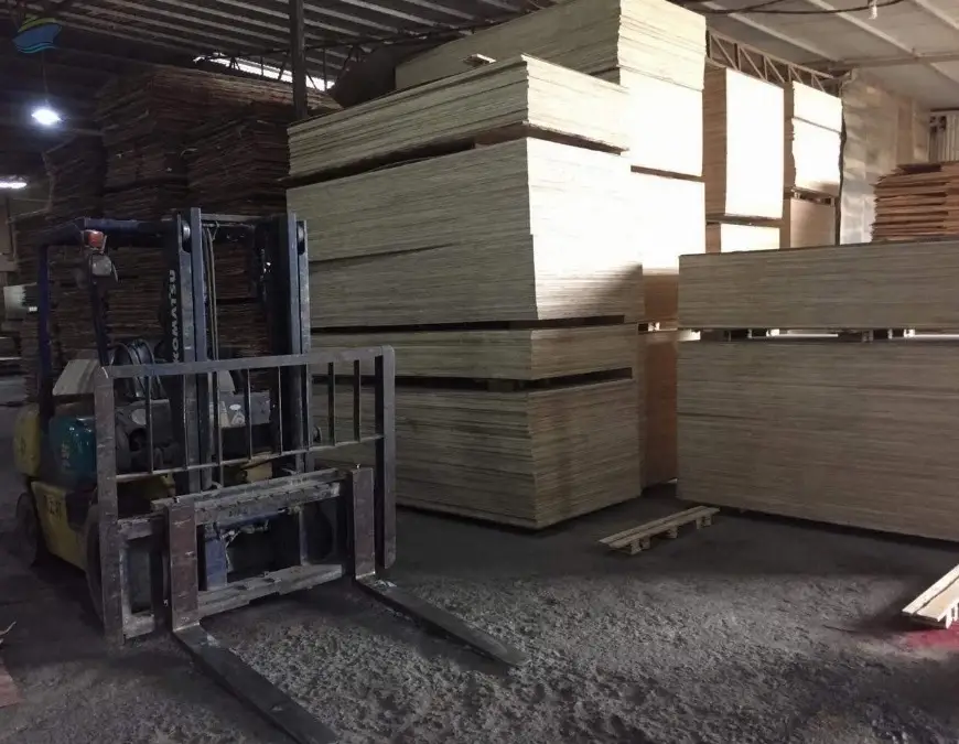 Commercial Plywood