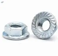 Serrated Flange Nuts
