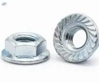 Flange Nuts