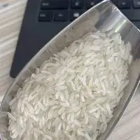 Cambodian Jasmine Rice