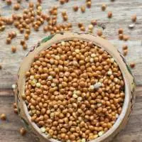 Red Millet Seeds 