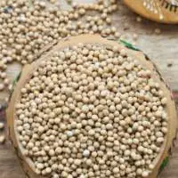 Yellow Mustard Seeds 
