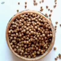 Coriander Seeds 