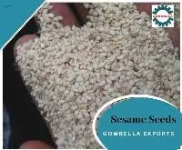 Sesame Seed