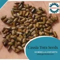 Cassia Tora Seeds