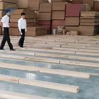 Wood Chips And Logs For Mdf, Paper, Pulp