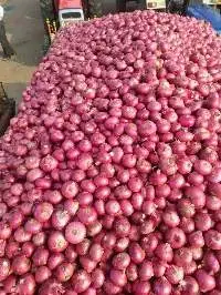 Red Onion
