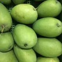 Banganapalli (Benishan) Mango