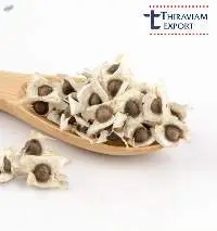 Edible Moringa Seeds With Wings