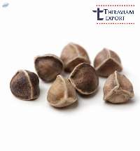Moringa Wingless Seeds