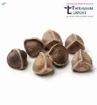 Moringa Wingless Seeds