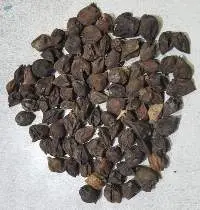 Assyrian Plum