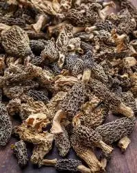 Moral Mushroom Dried