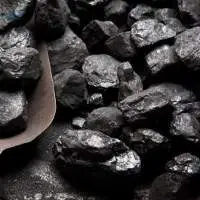 Coal