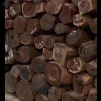 Red Rose Wood Logs