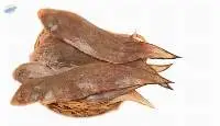 Tongue Sole Fish