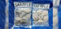 Premium Cuttlefish Seafood Export Quality