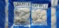 Premium Cuttlefish Seafood Export Quality