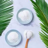 Raw Quartz Silica Powder