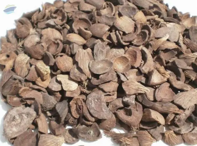 Palm Kernel Shell
