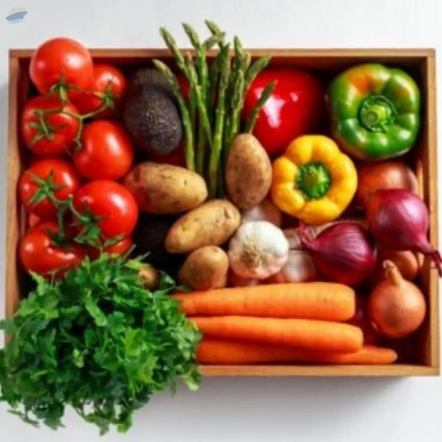 Fresh Vegetables