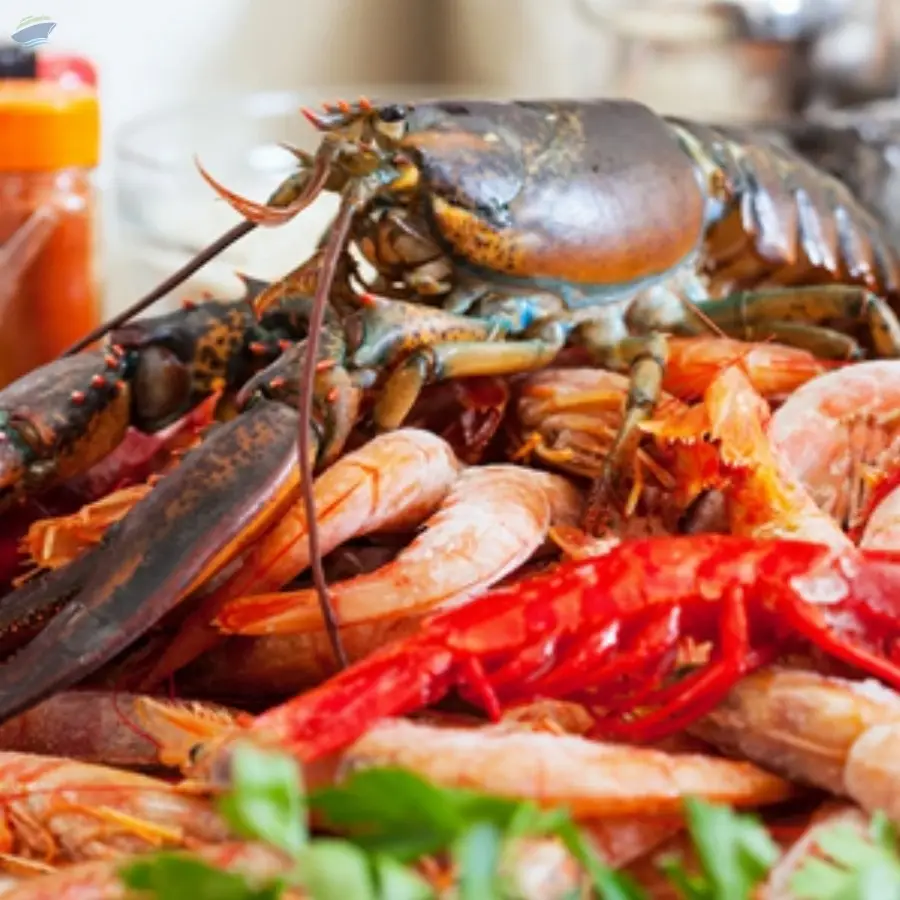 Seafood (Frozen & Canned)