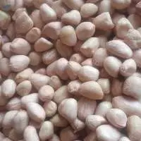 Java Peanut