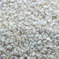 Indian Hulled Sesame Seed 99.98