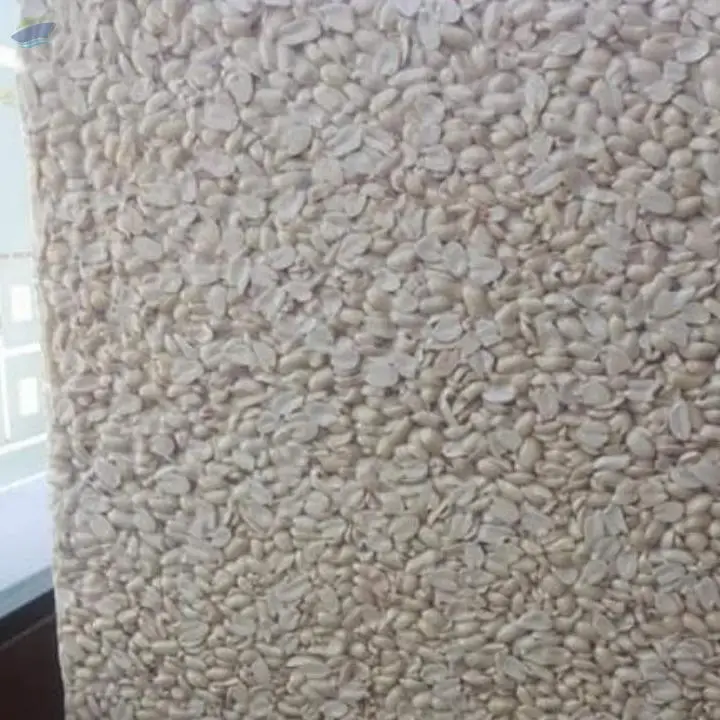 Packing Blanch Peanuts