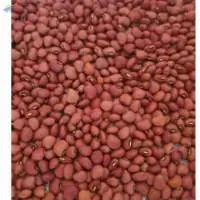 Red Cowpeas Mada