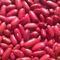 Red Kidney Beans