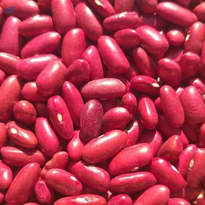 Red Kidney Beans