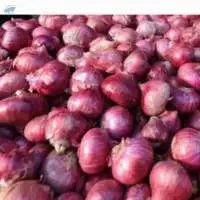 Red Onion 