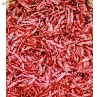 Red Whole Chilly