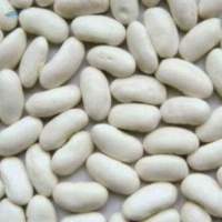 White Kidney Beans