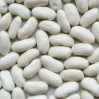 White Kidney Beans